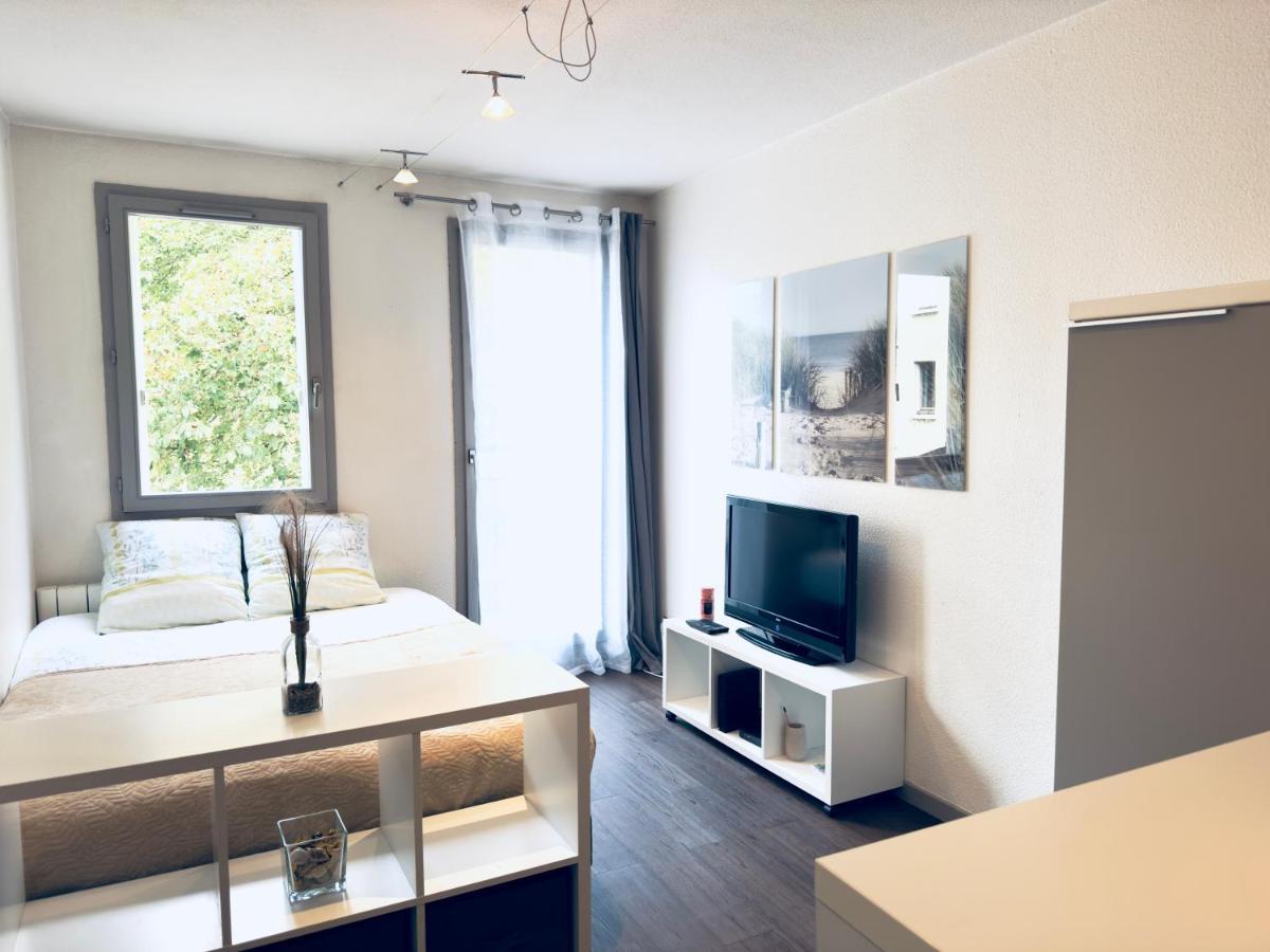 *Le Cityzen*15Min Du Centre A Pied+Parking Gratuit Annecy Dış mekan fotoğraf