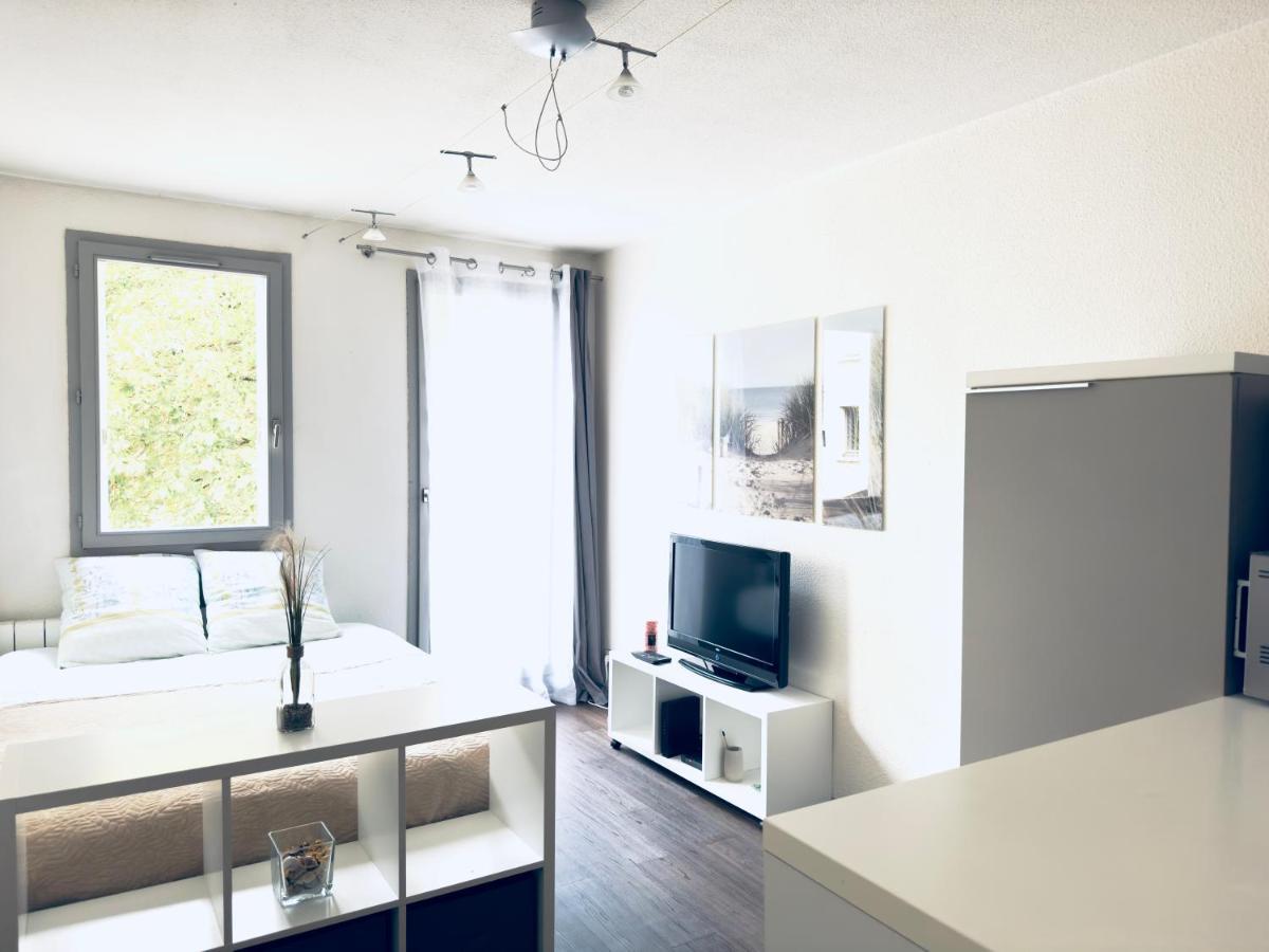 *Le Cityzen*15Min Du Centre A Pied+Parking Gratuit Annecy Dış mekan fotoğraf